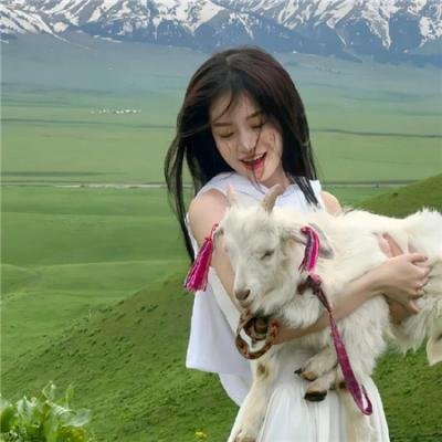 我在大明的那些年